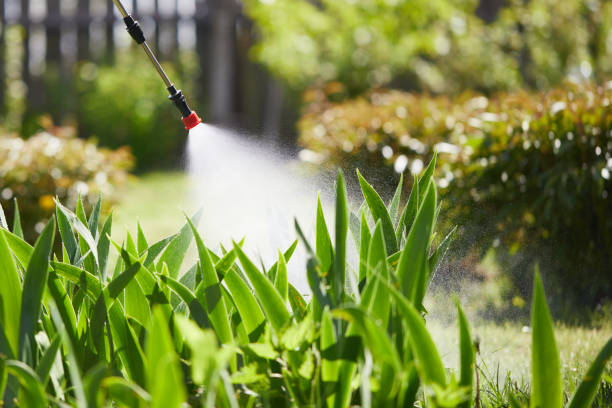 24/7 Emergency Ant Control experts in Fort Hood, TX