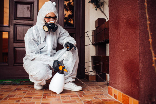 Reliable Ant Control contractor in Fort Hood, TX by Nex Pest Control