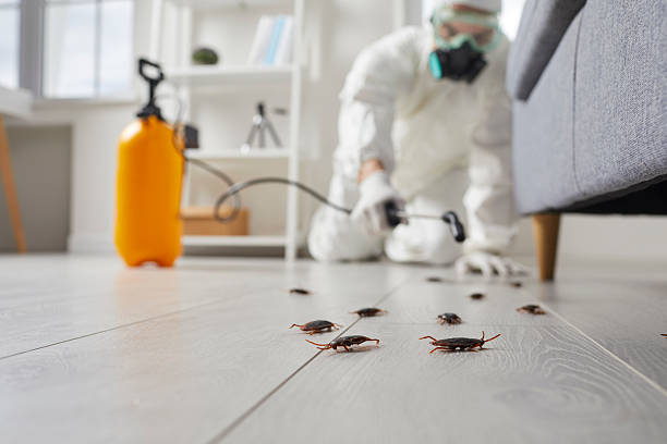 Trusted Mosquito Control service in Fort Hood, TX - Nex Pest Control