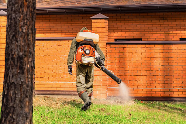 Trusted Cockroach Control service in Fort Hood, TX - Nex Pest Control